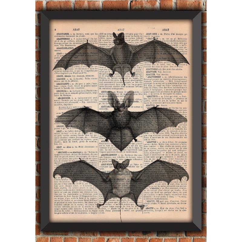 Photography Dark - Bat Skeleton Dark Gothic Odd Scary