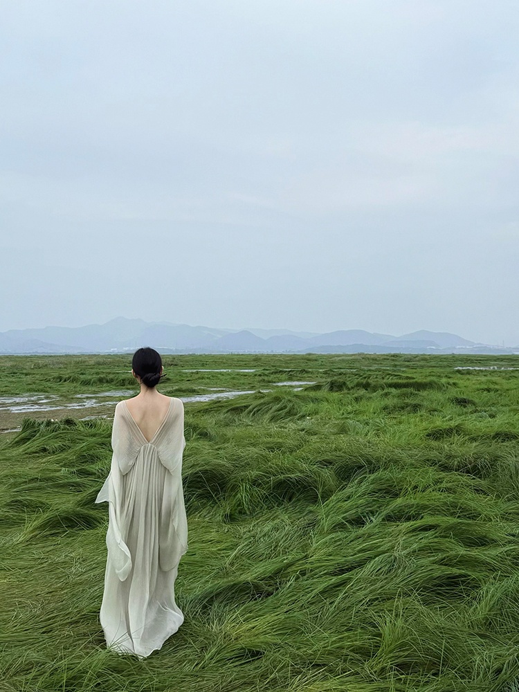 New Chinese Style Loose Long D - Photography Zen review and price