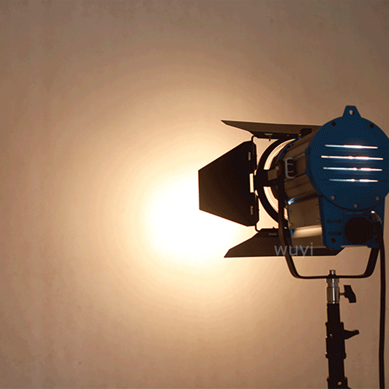 1000W 2000W As Arr Professiona - Photography Treatment review and price