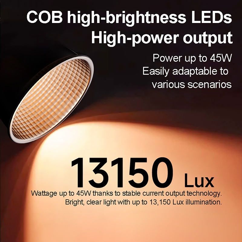60W RGB Video Light Portable L - Photography Treatment review and price