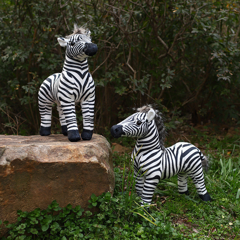 White Pelican Creative Zebra S - Photography Zebra review and price