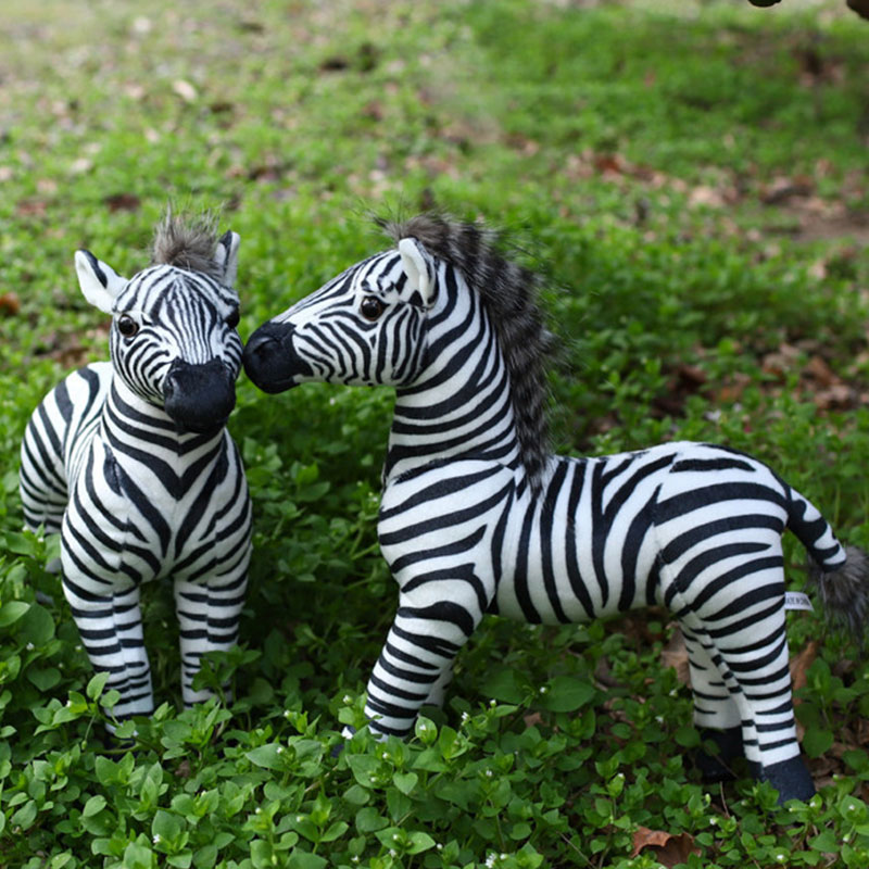 White Pelican Creative Zebra S - Photography Zebra review and price